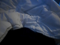 Bicurious-27 webcam snapshot