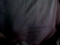 Hotdutchy webcam snapshot