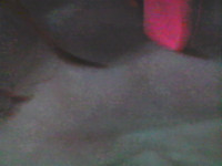 Poca-hontas webcam snapshot