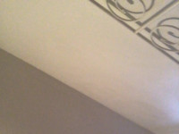 Roriraw webcam snapshot