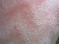 Sexytitsie webcam snapshot
