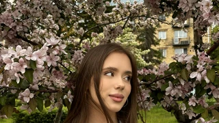AlexaBoller snapshot 9