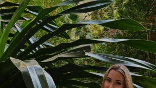 Aria snapshot 15