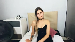 CatrinModel snapshot 10