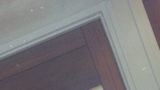 Chocolatebabys snapshot 2