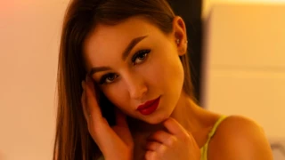 DonnaPerfect snapshot 2