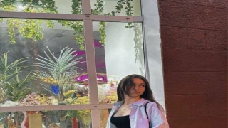 dutifulwet snapshot 2