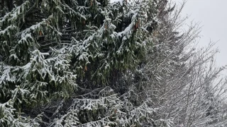 Eva-Struis snapshot 5