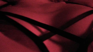 hornyporny snapshot 3