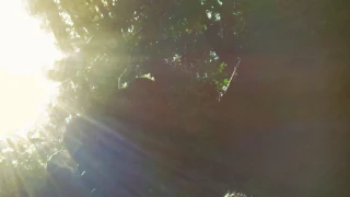 Jessx snapshot 5