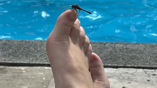 KarinaDoll snapshot 7