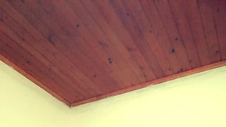 KarolRodriguez snapshot 3