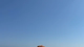 Kikistar snapshot 5