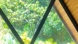 Maylydavis snapshot 8