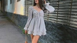 MeggieLex snapshot 5