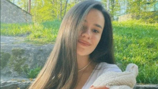 MeggieLex snapshot 7