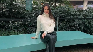 MeggieLex snapshot 16