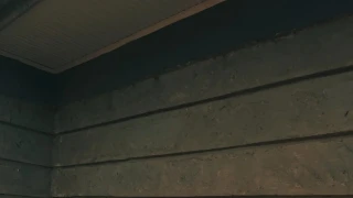 Petitegal snapshot 7