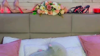RosieStar snapshot 99