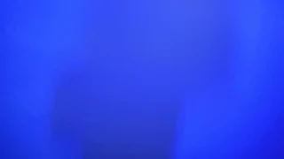 Solsol snapshot 6