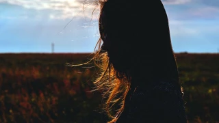 Sunnylight snapshot 61
