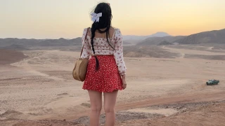 sweetCoral snapshot 8