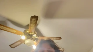 Sylviastar snapshot 3