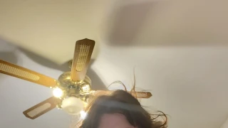 Sylviastar snapshot 4